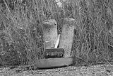 waste deposit_012